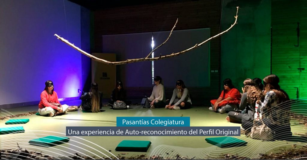 COLEGIATURA_Pasantia