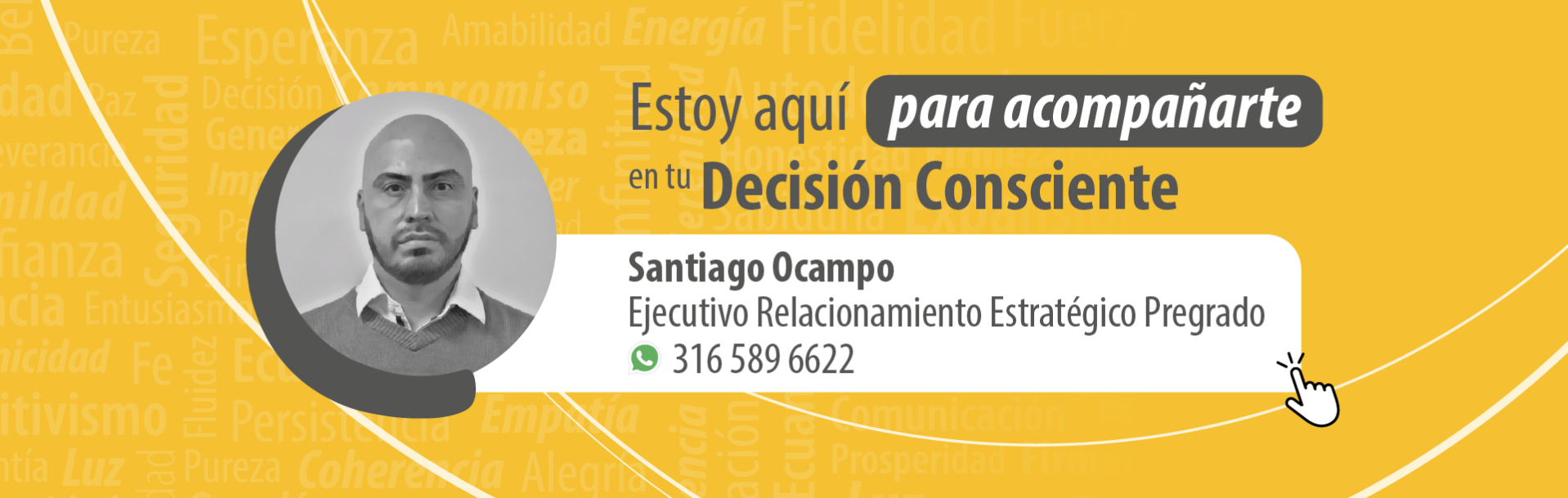 Asesor comunicacion publicitaria