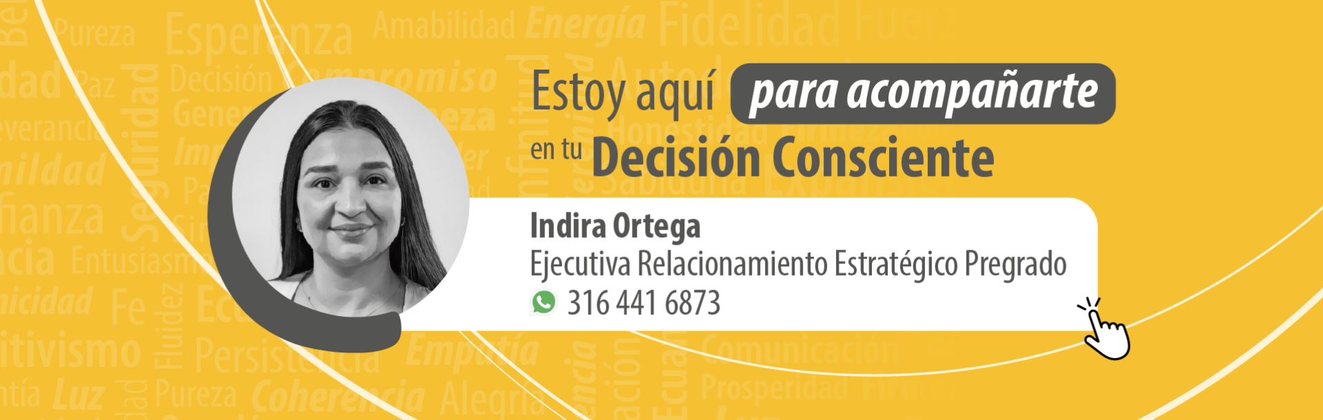 Asesor diseño de modas
