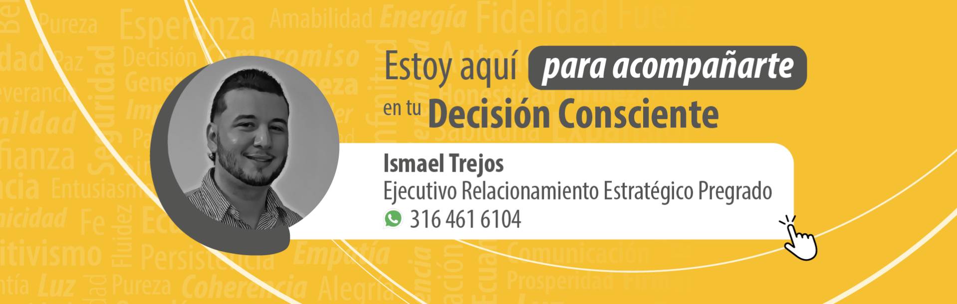 Asesor diseño grafico