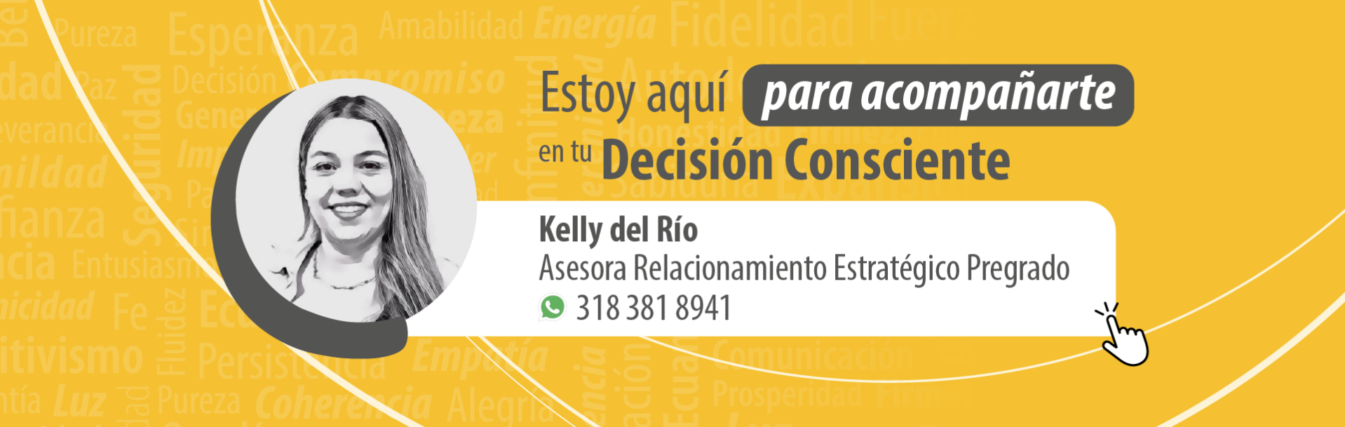 Asesor gastronomia y cocina profesional