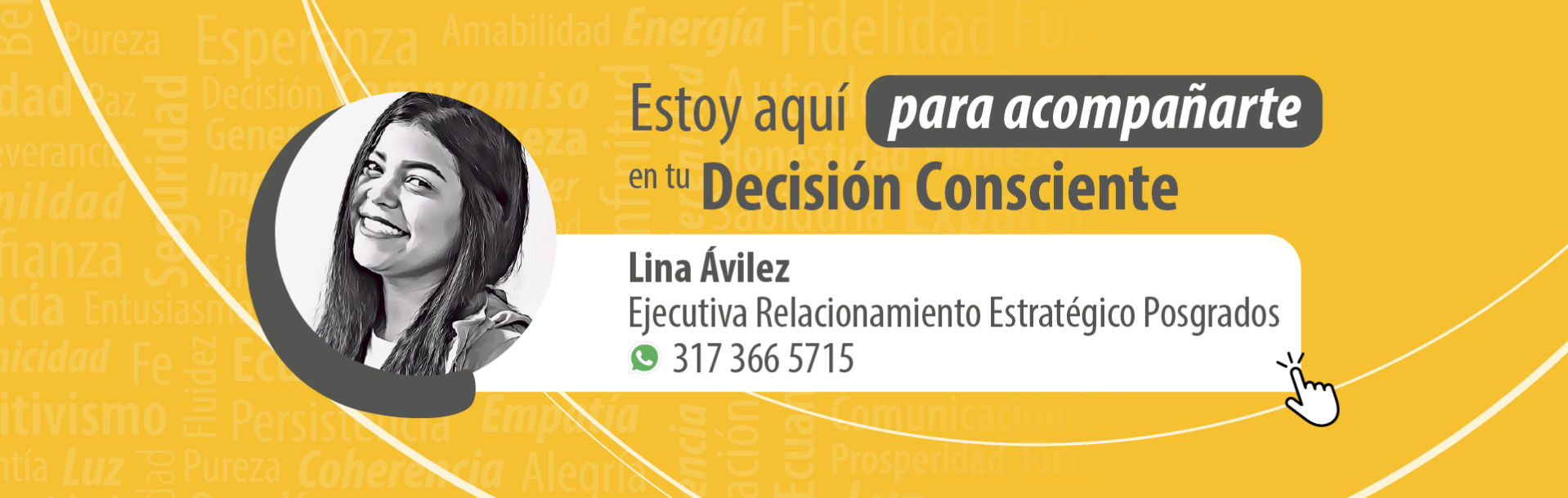 Asesor intervencion creativa