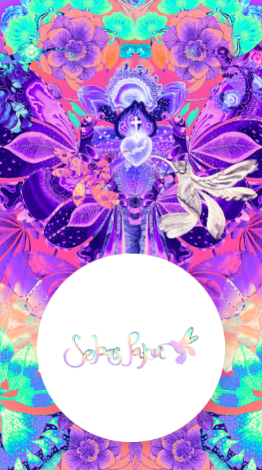 Emprendimiento Sebas Pakui