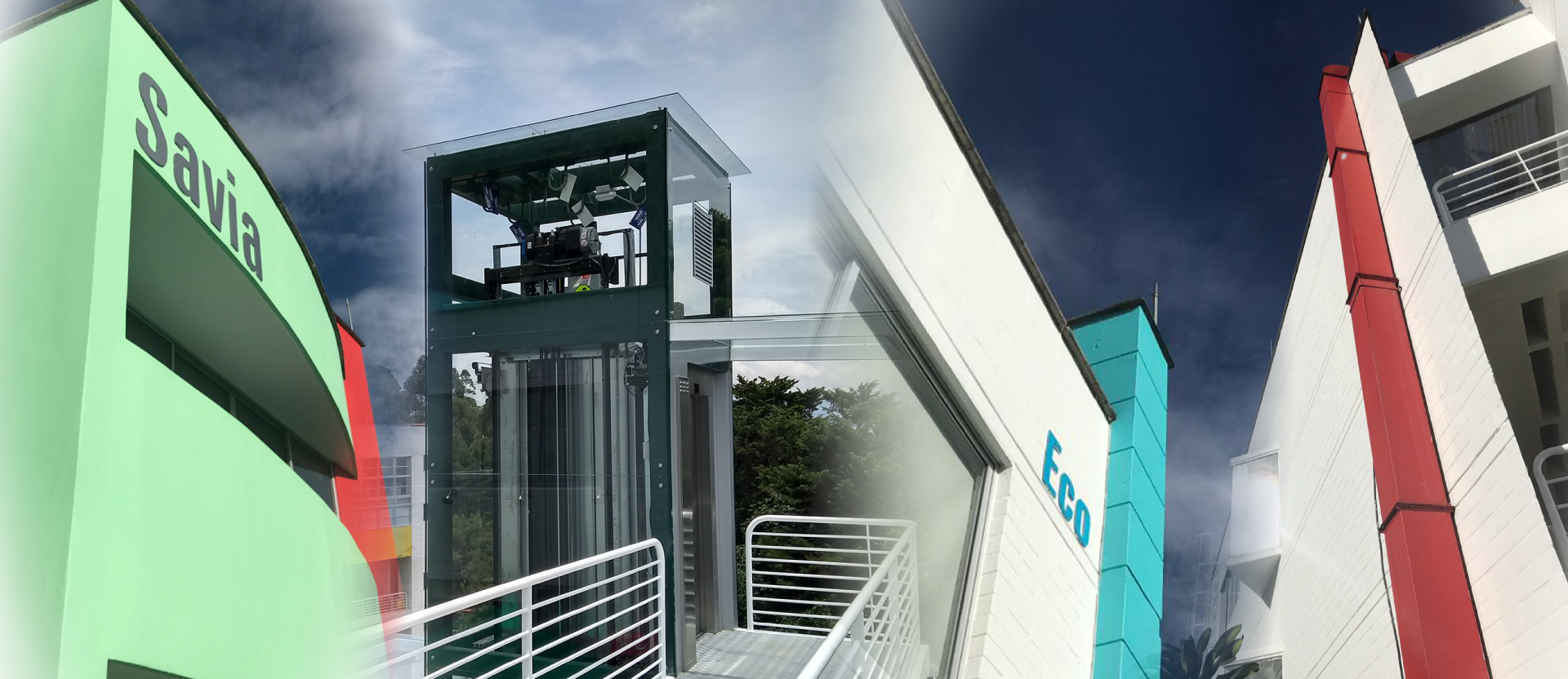 Pregrados-COLEGIATURA