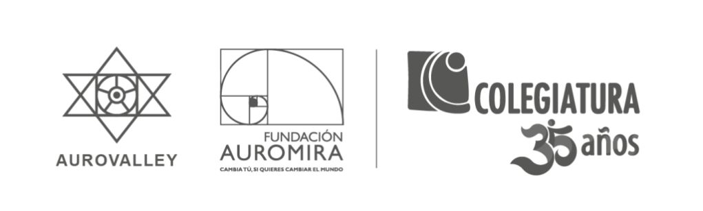 Logos Aurovalley - Auromira - Colegiatura