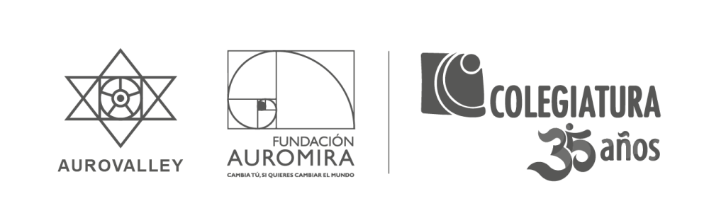 Logos Aurovalley - Auromira - Colegiatura