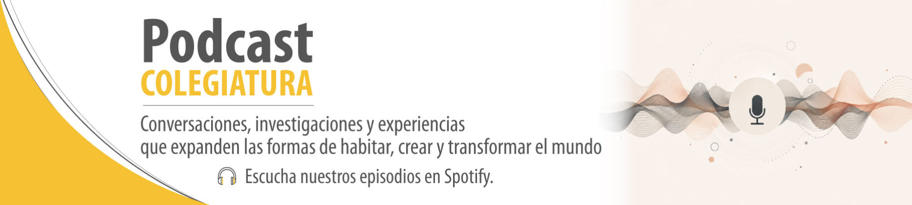 Banner-spotify