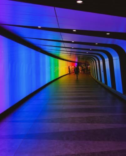 Curso Original Experiencias Multisensoriales en Espacios Come