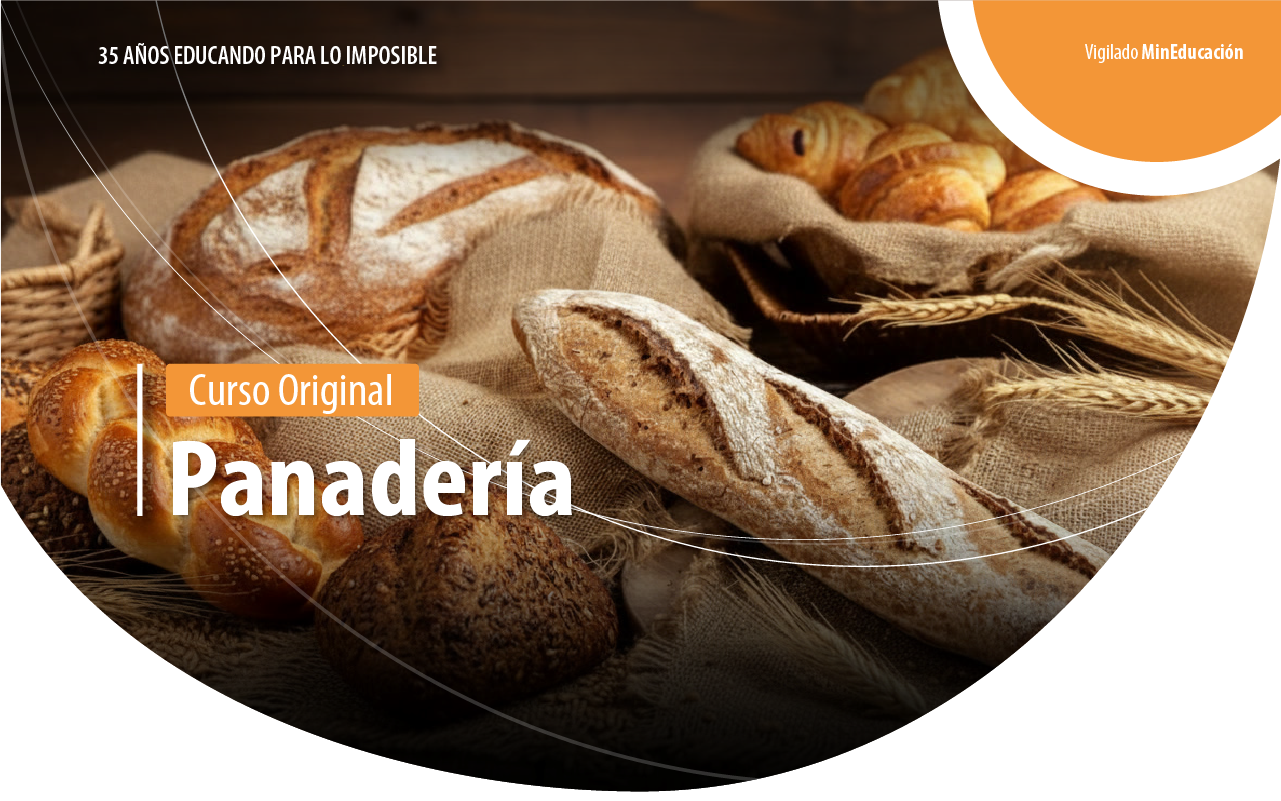 Curso Original Panaderia
