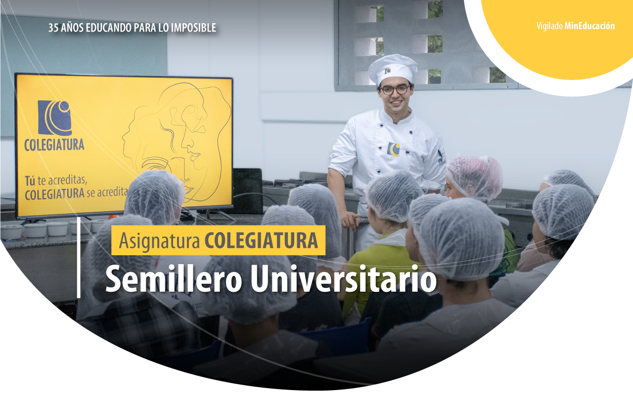 Asignatura COLEGIATURA Semillero Universitario