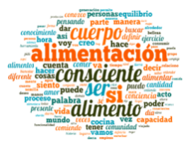 Conceptualización alimentación