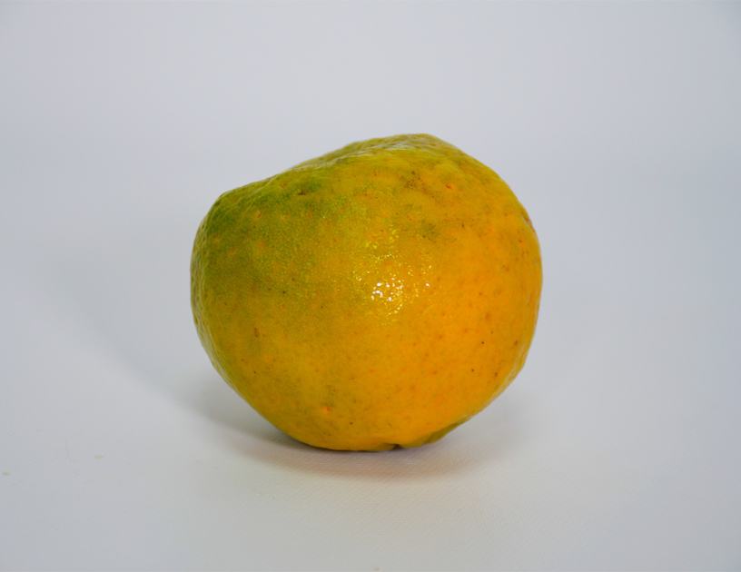 mandarina