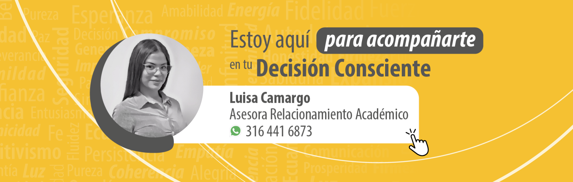 Asesor diseño de modas