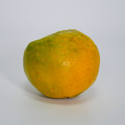 mandarina